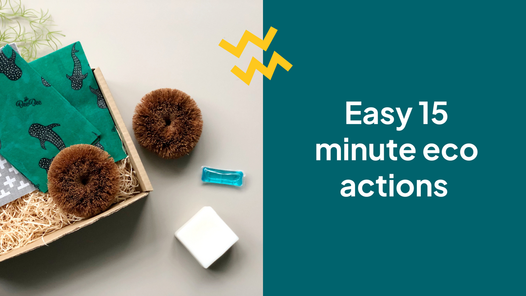 five easy eco actions you can do in 15 minutes or less