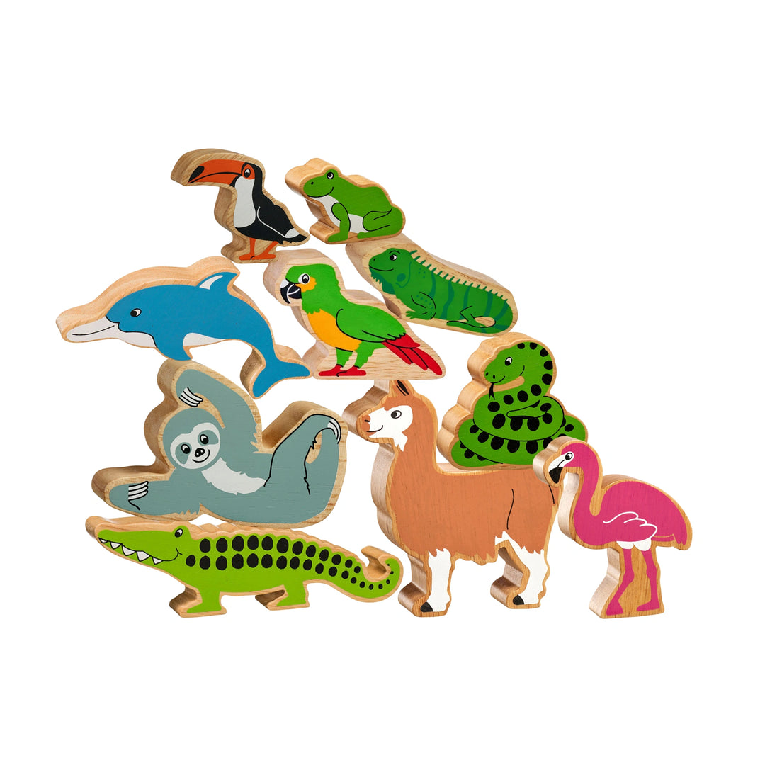 wooden animals from south america for nature inspired play. This playset includes a llama, dolphin, snake, parrot, crocodile, sloth, toucan, frog, iguana and flamingo. Suitable from 10 months.
