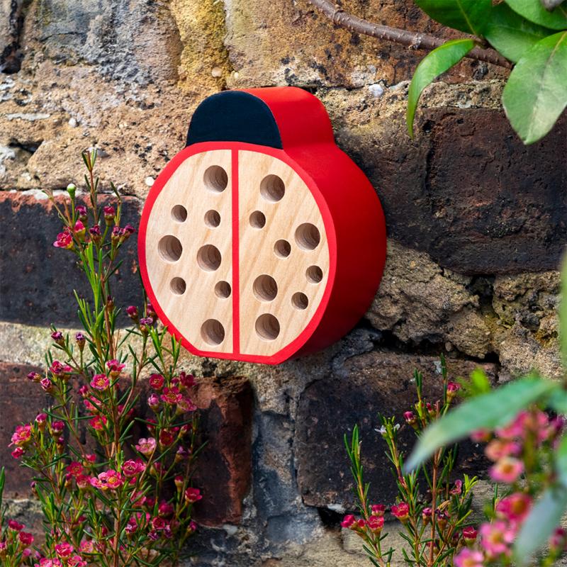 cute wooden mini bug hotel shaped like a ladybird attached to a stone wall in a garden setting