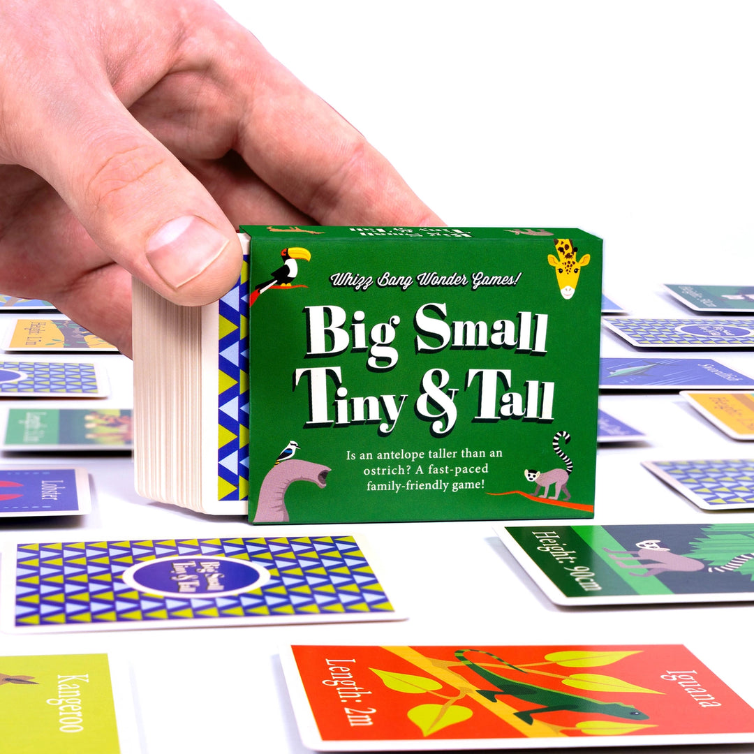 hand holding a deck of colourful cards with the Big Small Tiny &amp; Tall game box on a white surface