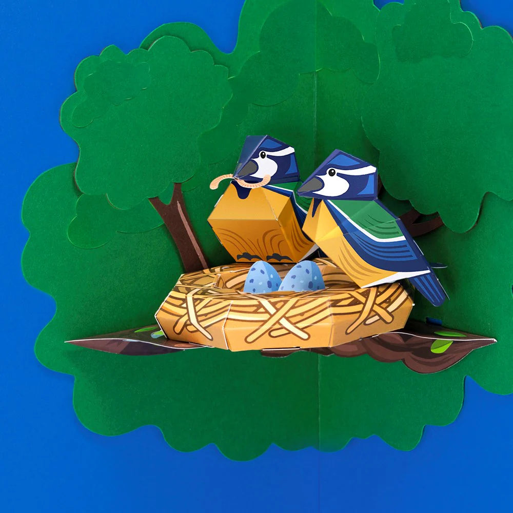 Clockwork Soldier create your own blue tit nest craft kit for children age 7 and over.