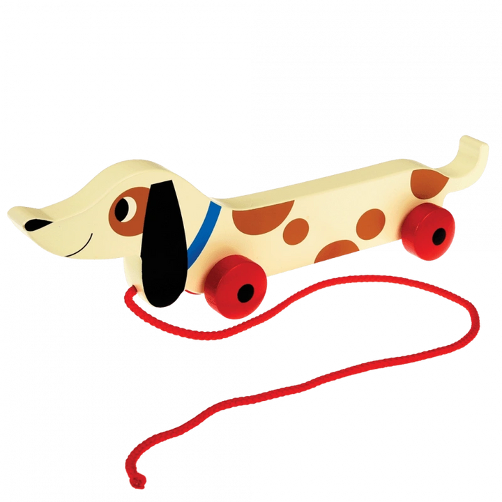 brown and white painted wooden sausage dog pull along toy with red wheels, a blue collar and a red string. For children over 3 years