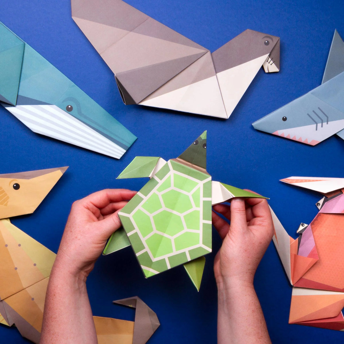 childs hands holding a finished turtle from the Clockwork Soldier Create Your Own Giant Ocean Origami Craft Kit