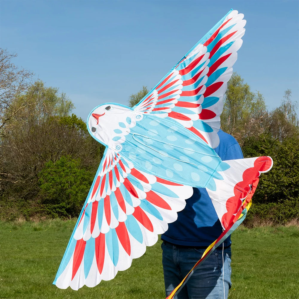Person holding a large, colourful kite shaped like a bird in an outdoor setting with trees and grass.