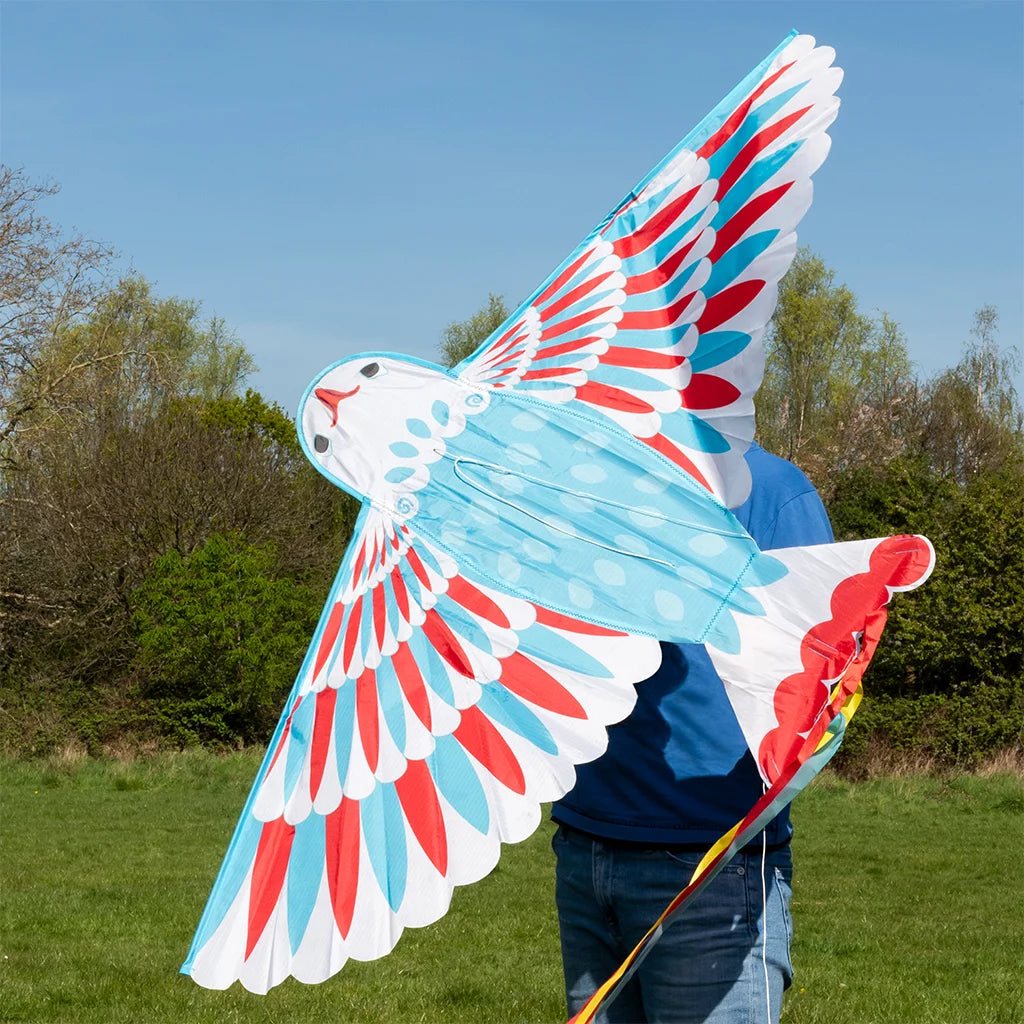 Person holding a large, colourful kite shaped like a bird in an outdoor setting with trees and grass.