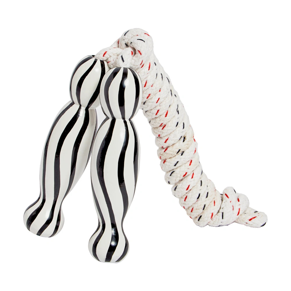 Black and white skipping rope with zebra print handles on a white background