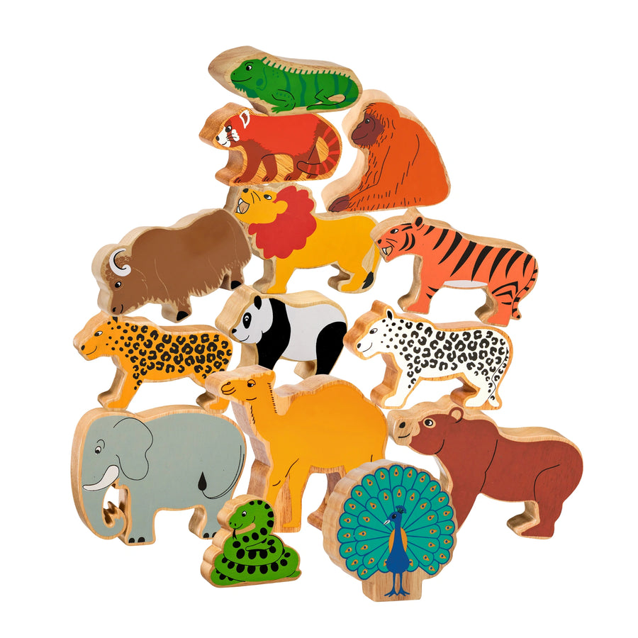 Set of colourful Asian animal wooden toys on a white background