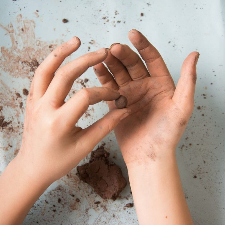 childs hands holding a seedball 