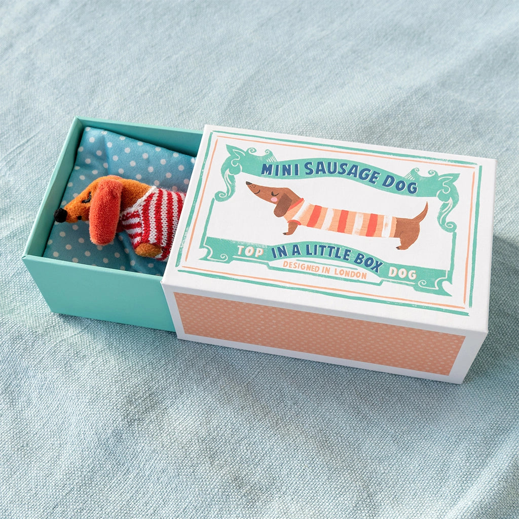 Miniature sausage dog toy in a decorative box on a light blue fabric background