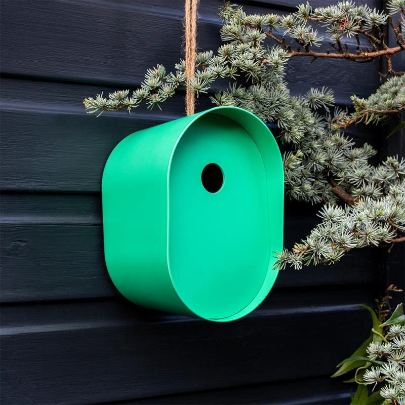  Rex London Oval Bamboo Bird House in a gorgeous green colour. Modern and eco friendly nesting box for birds on a grey fence