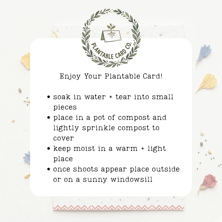 planting instructions for plantable greetings cards