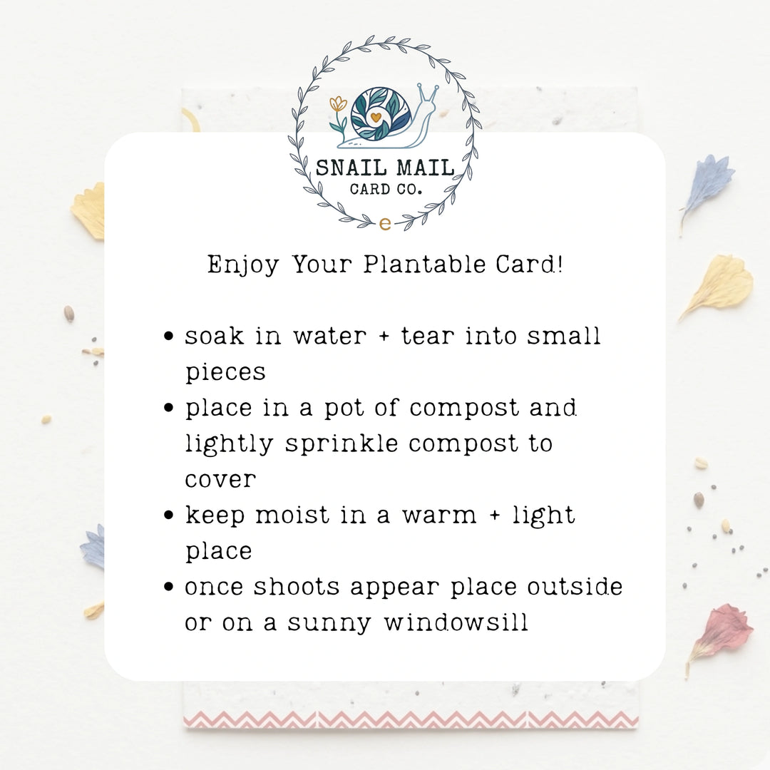 plantable greetings card instructions 