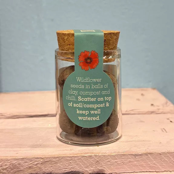 Glass jar with cork lid containing wildflower seeds on a wooden surface with a blue background