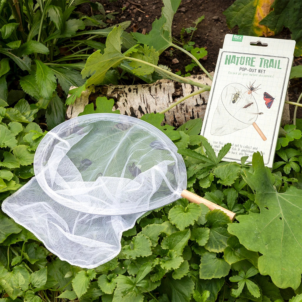 Rex London Nature Trail Pop Out Net for collecting bugs. The net and gift box are outdoors amongst leaves and shrubs.