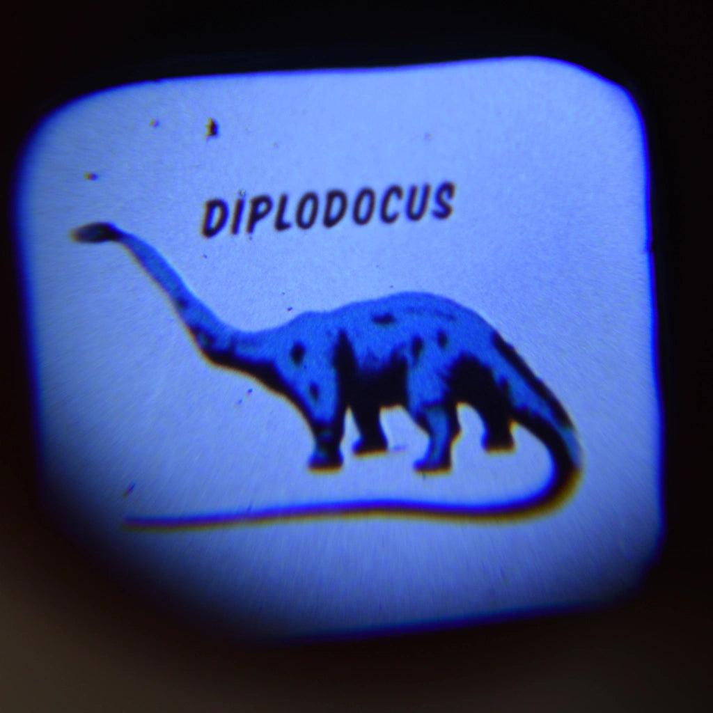 diplodocus image projected by the Rex London Dinosaur projector torch 