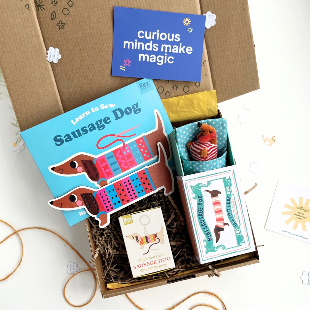 saisage dog themed colourful Craft kit gift box with sewing sets and a little sausage dog toy. The products are inside a kraft gift box with 'curious minds make magic' card on a white background