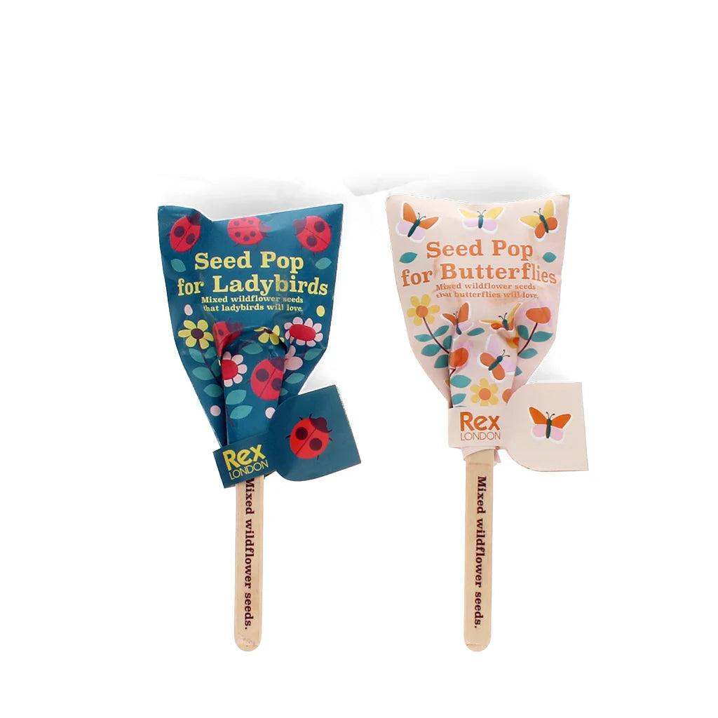 Two seed pop toys for ladybirds and butterflies on sticks with colourful designs.