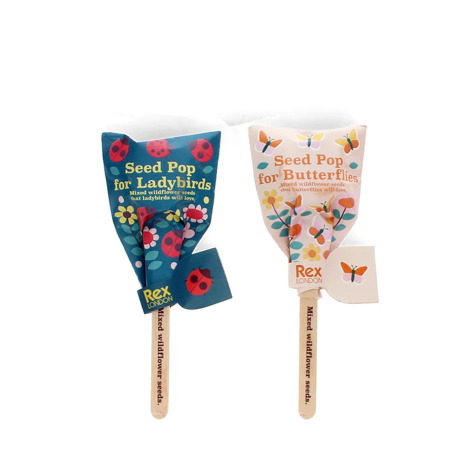 Two seed pop toys for ladybirds and butterflies on sticks with colourful designs.