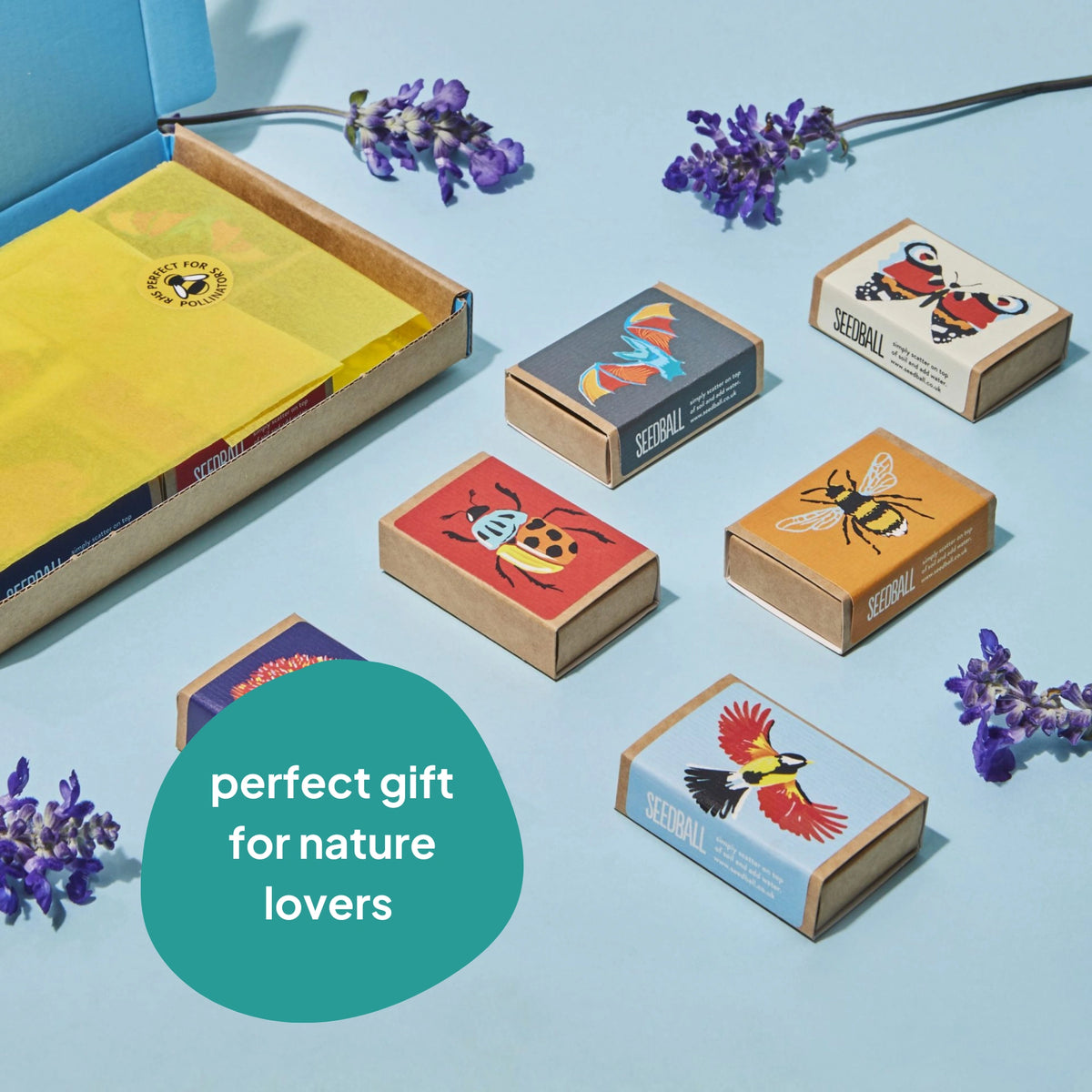 Wildlife Collection Seedball Gift Box with six seedball mixes to attract wildlife