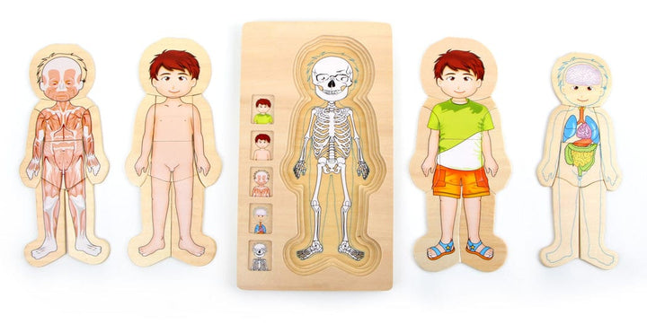 Small Foot Toys > Puzzles > Wooden Puzzle Small Foot Wooden Anatomy Puzzle - Boy
