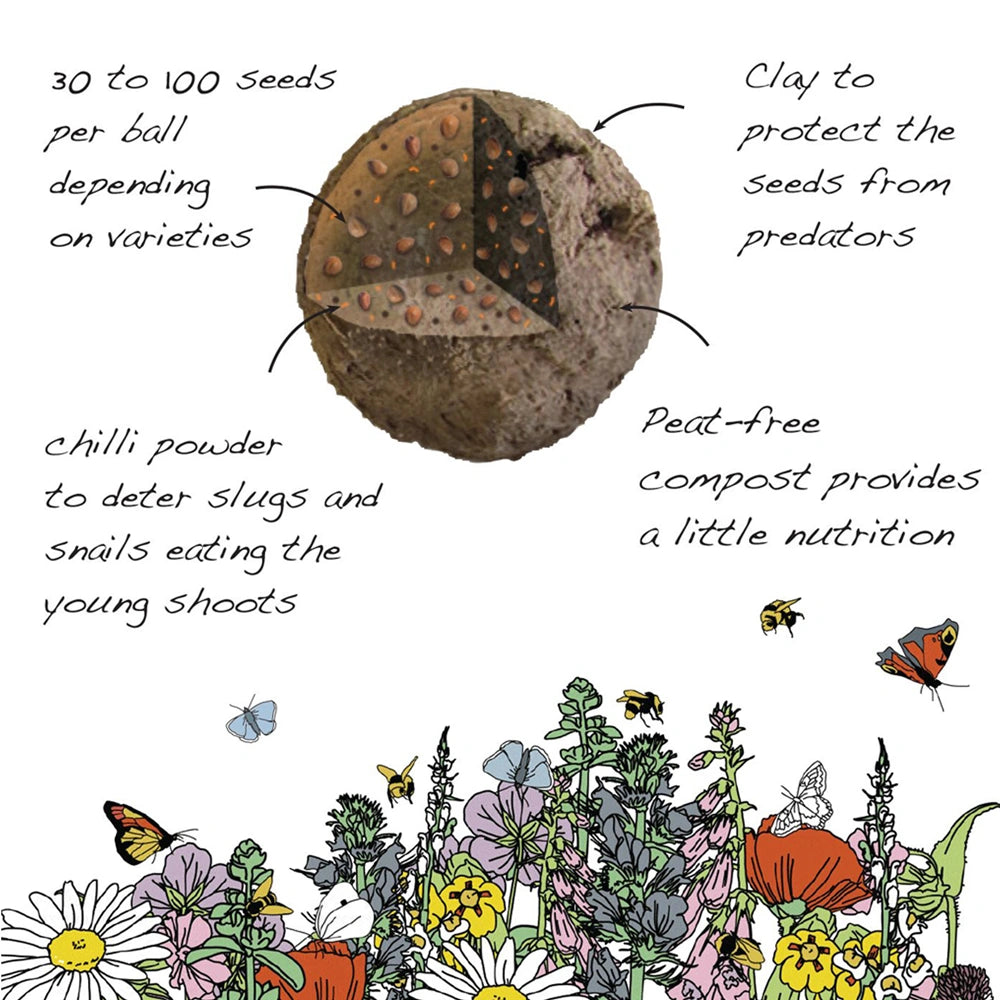 seedball Bee Mix native wildflower seeds info graphic 