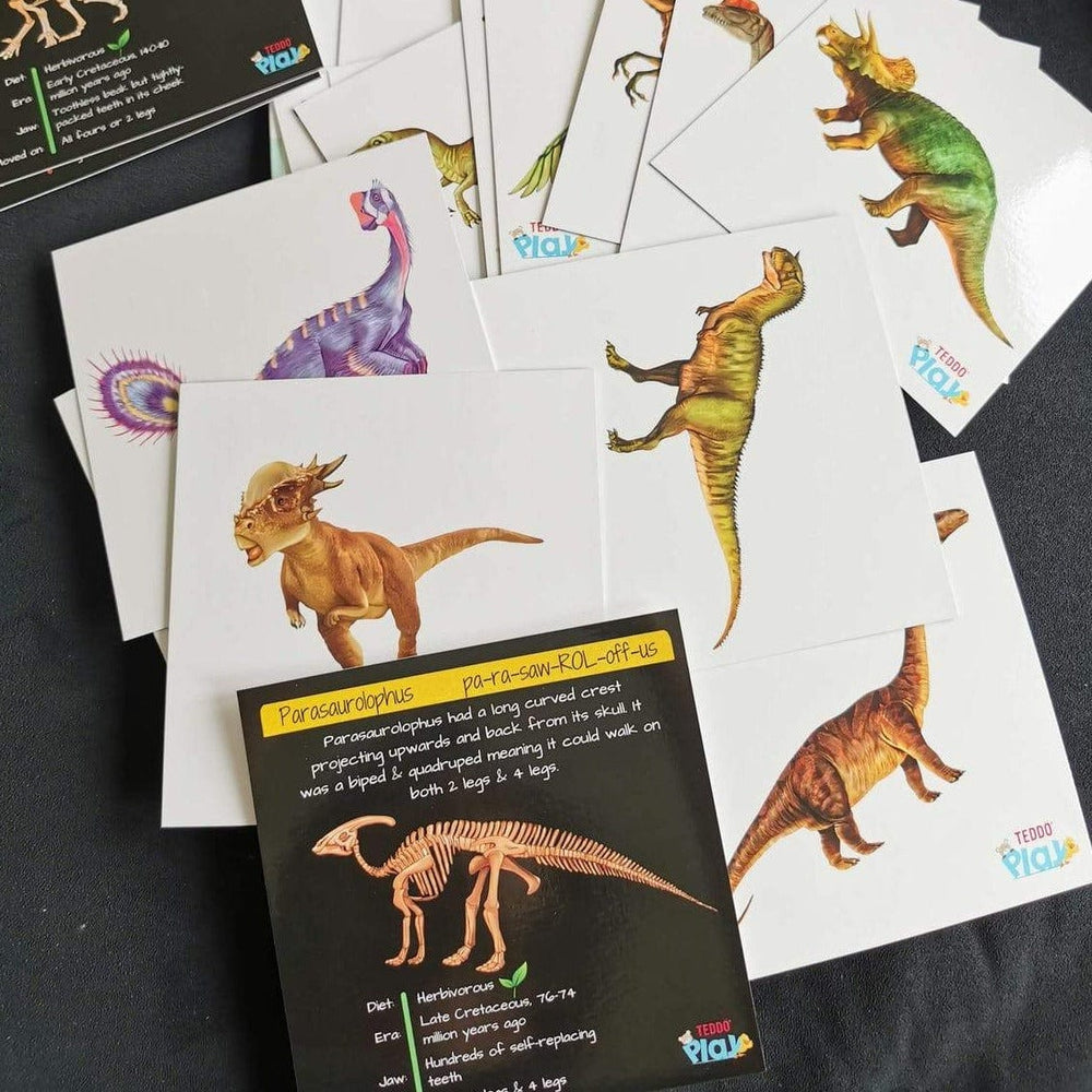 Teddo Play Toys > Educational Toys > Flash Cards Teddo Play Dinosaurs - From Flesh to Bones - Set