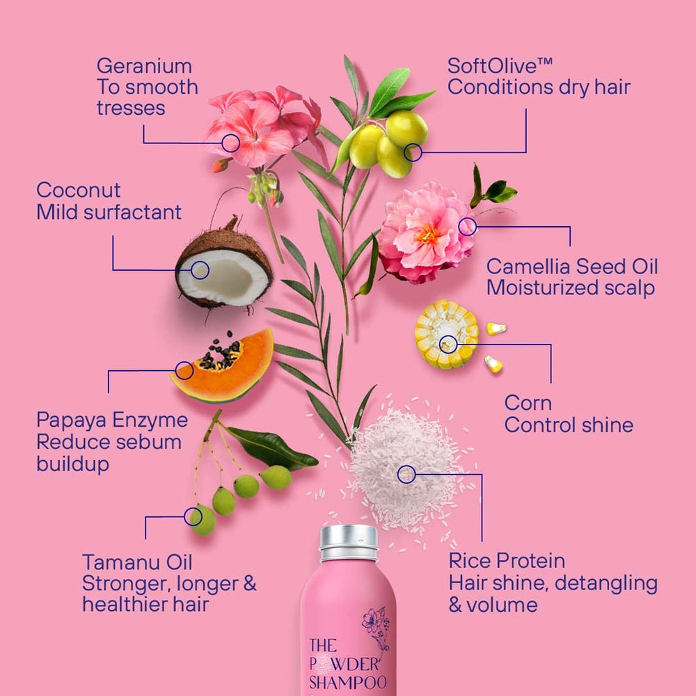 visual explanation of the ingredients in the powder shampoo hydrating and replenishing shampoo for dry and fragile hair 