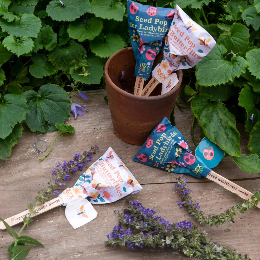 Seed packets for ladybirds and other insects on a wooden surface with plants in the background