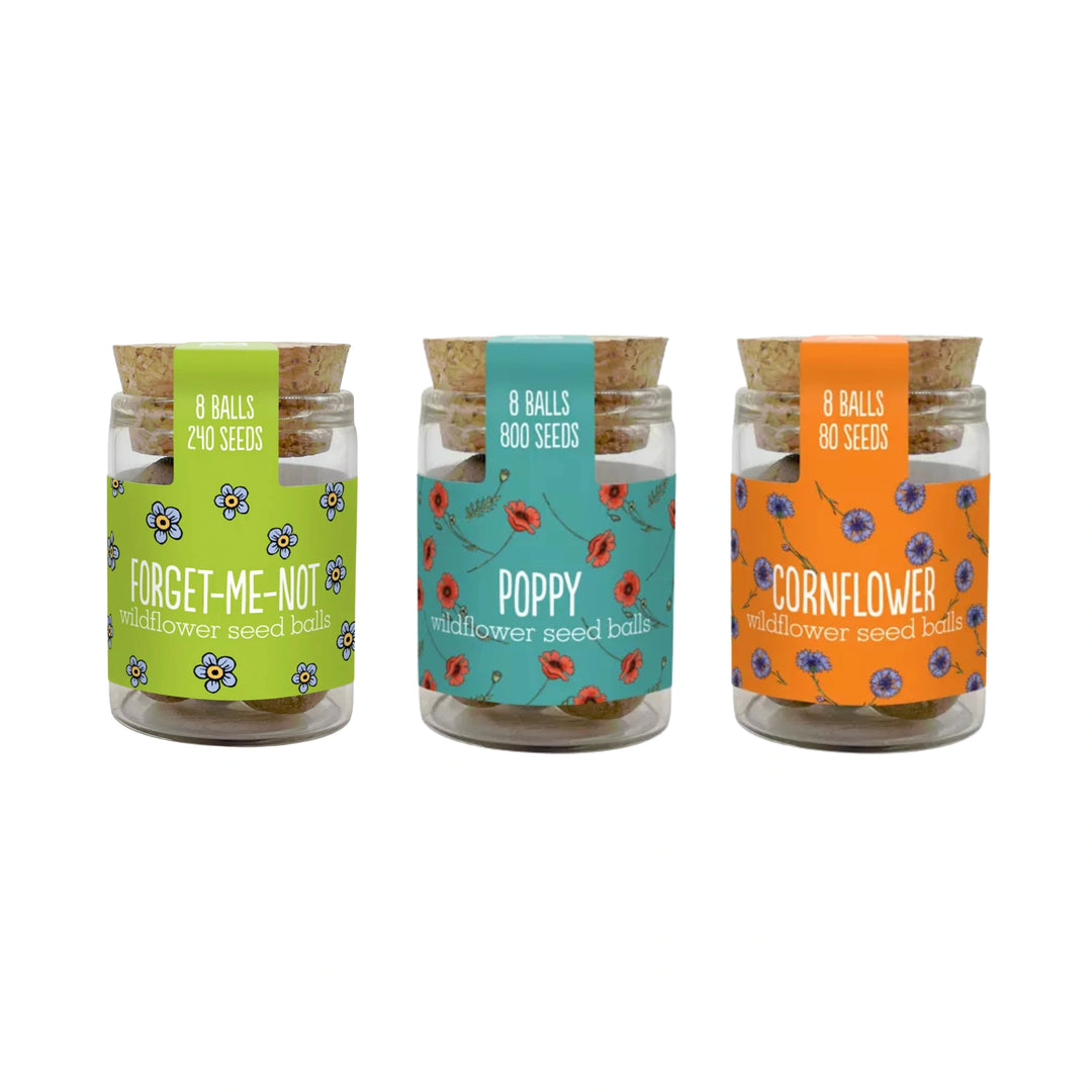 Three jars of wildflower seed balls with cork lids and colourful labels on a white background