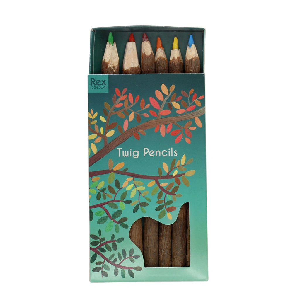 six chunky twig colouring pencils in a green gift box with illustrations of leaves and trees. For nature inspired art. 
