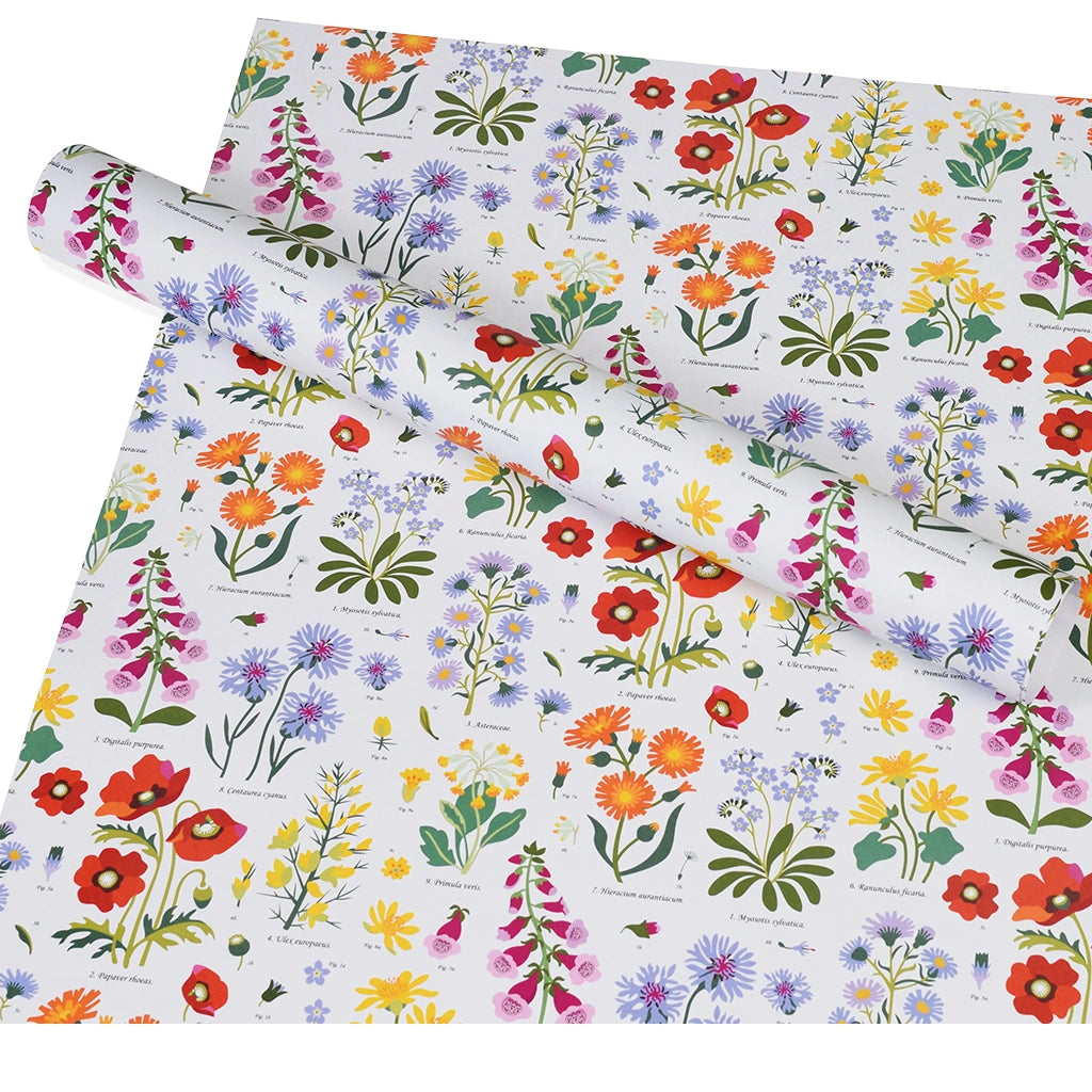 wild flowers eco friendly gift wrap illustrated with 14 varieties of british wild flower 