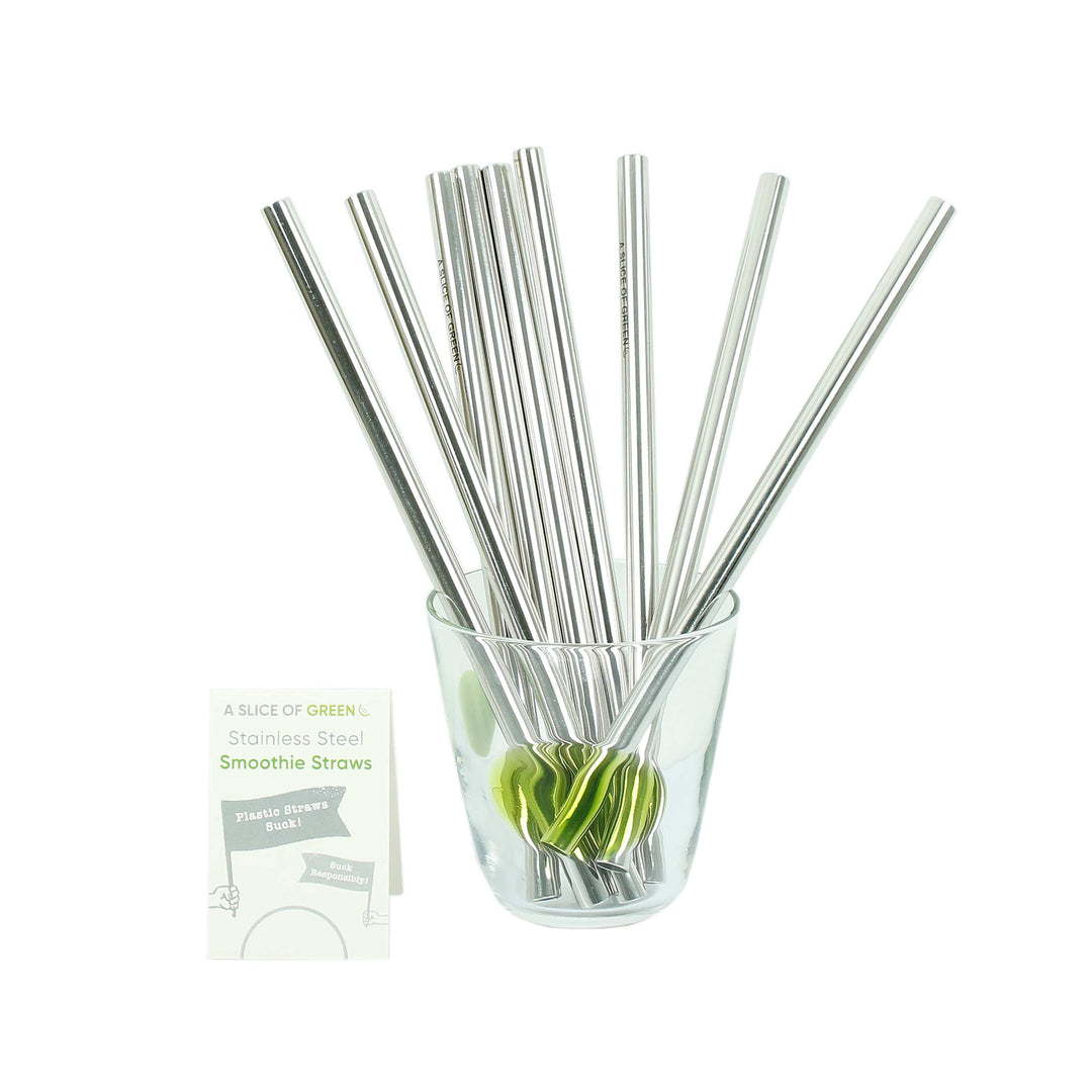 Set of Two Stainless Steel Smoothie Straws + Brush - Smallkind