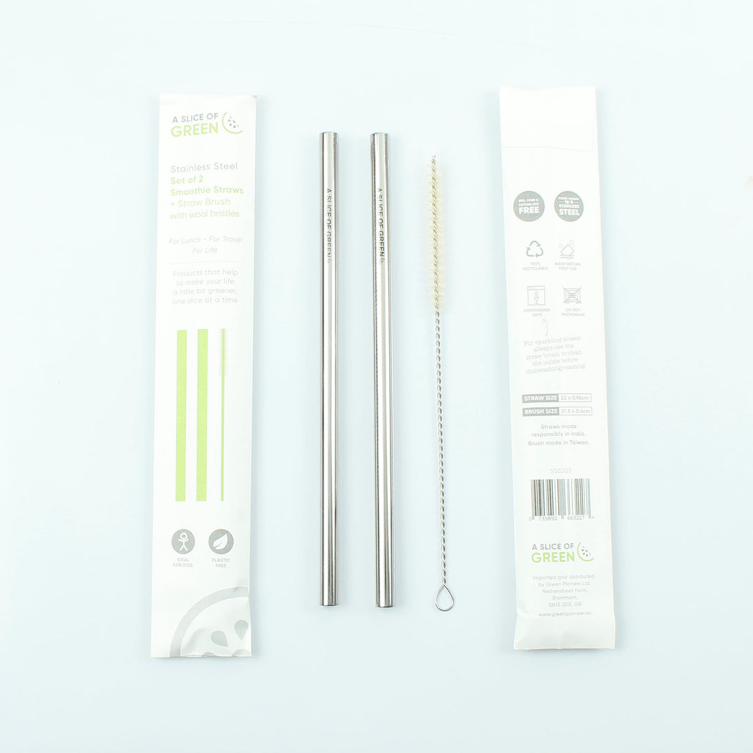 Set of Two Stainless Steel Smoothie Straws + Brush - Smallkind