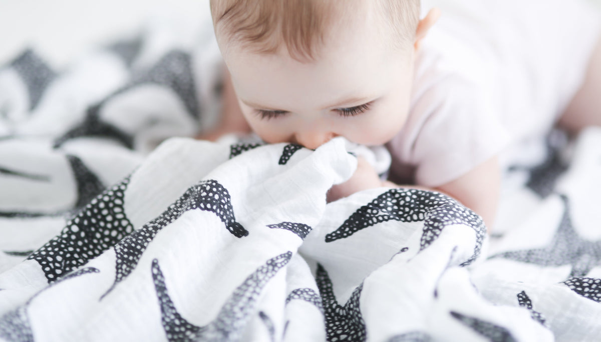 Bamboo Sensory Muslin Squares 3 Pack - Animals - Smallkind