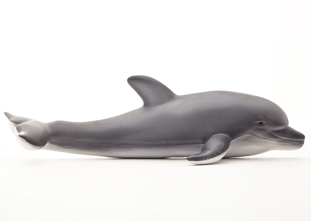 Green Rubber Toys Dolphin - Smallkind