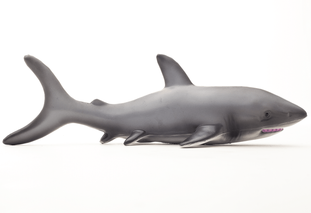 Green Rubber Toys Shark Smallkind