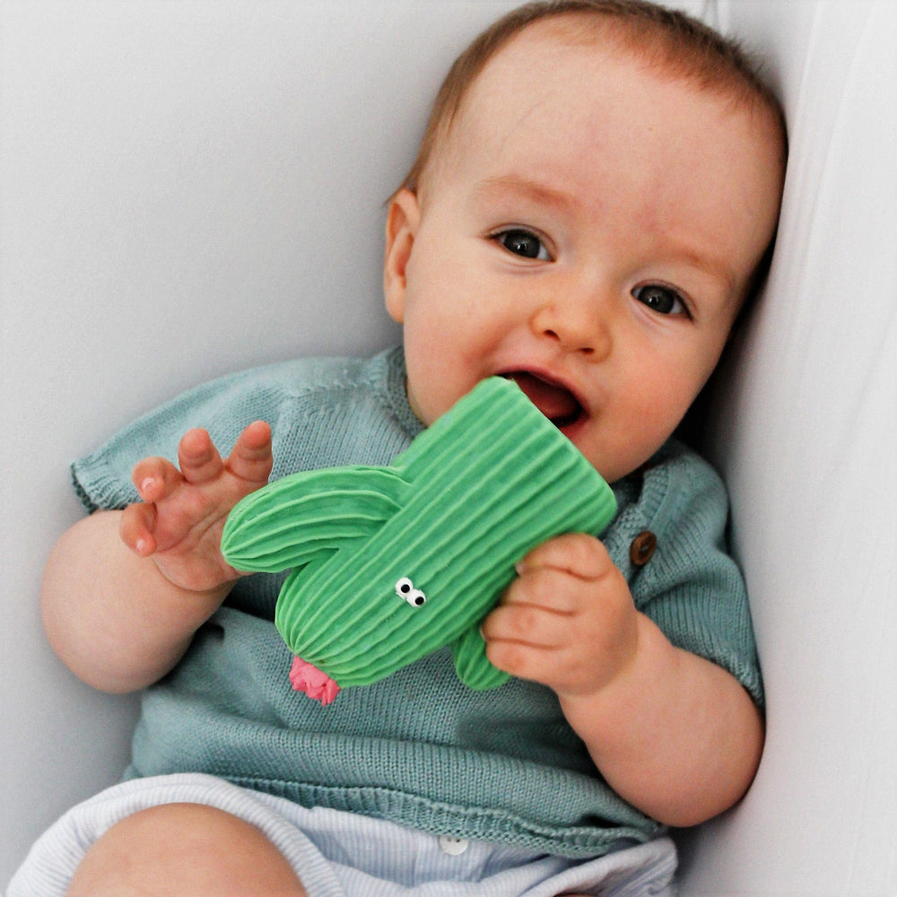 baby holding a natural rubber cactus grasping and teething toy