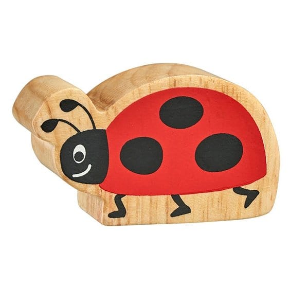 lanka kade ladybird