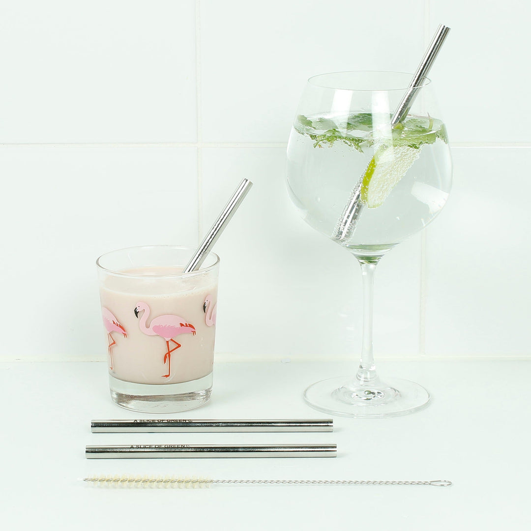 Set of Two Stainless Steel Short Straws + Brush - Smallkind