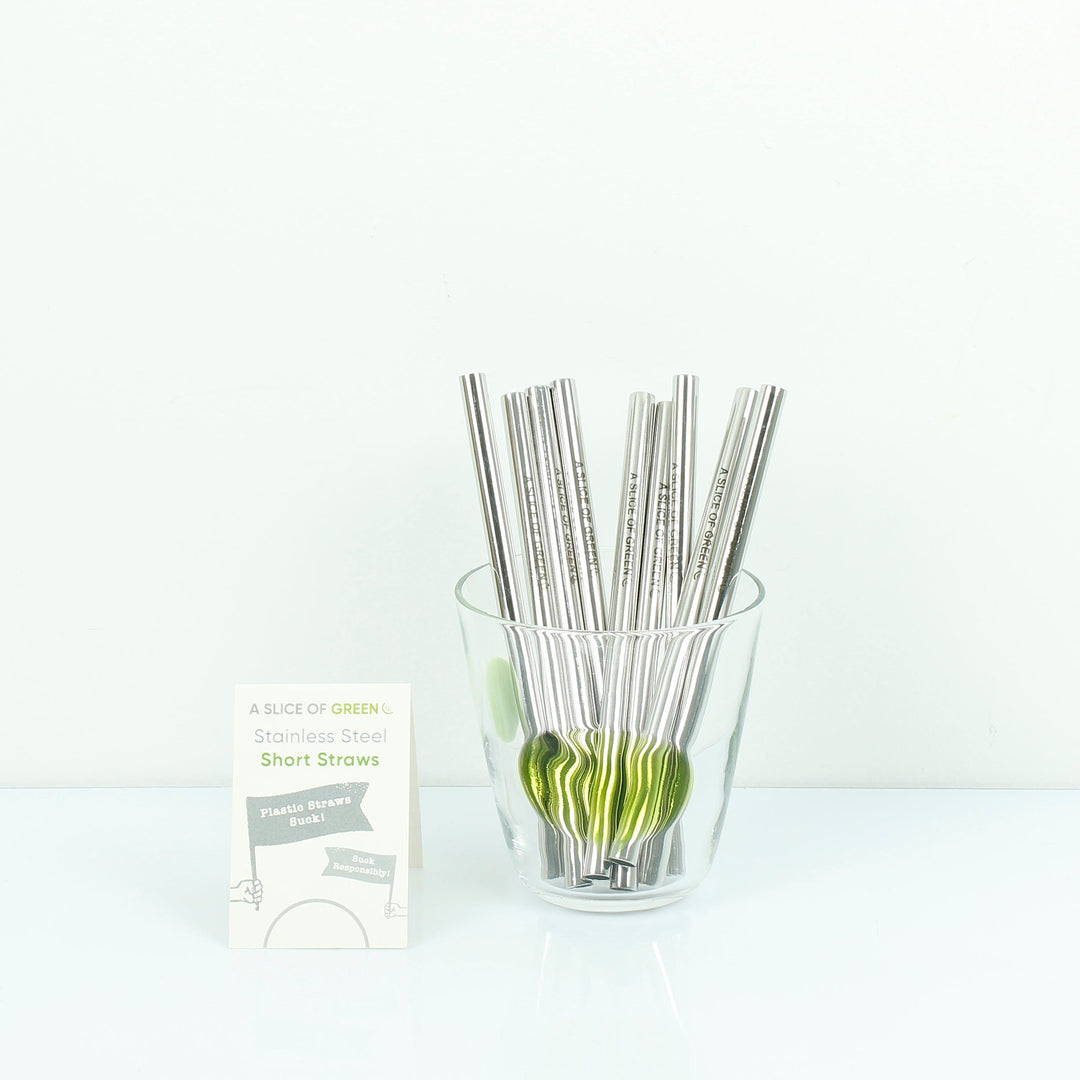 Set of Two Stainless Steel Short Straws + Brush - Smallkind