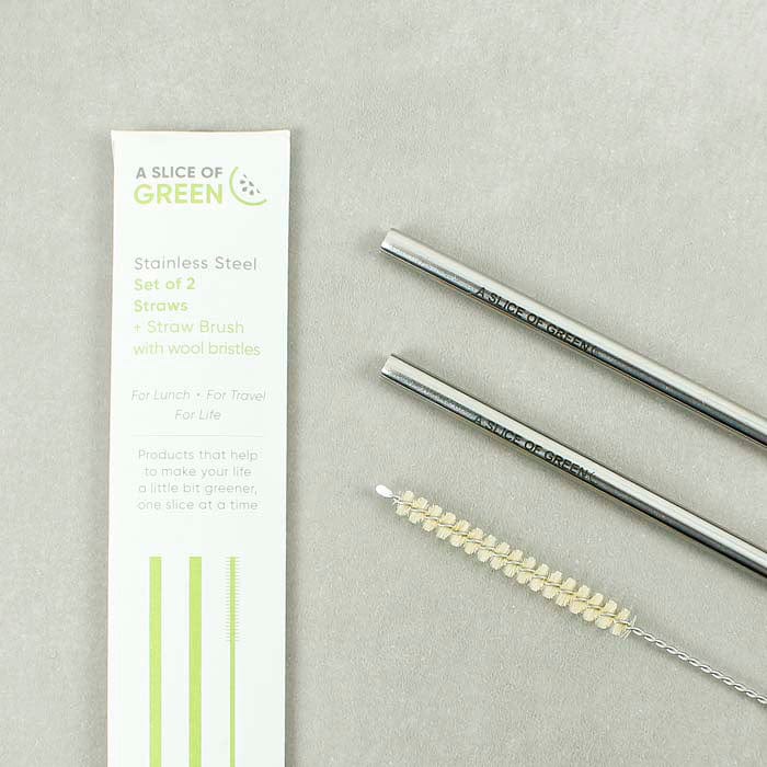 Set of Two Stainless Steel Straws + Brush - Smallkind