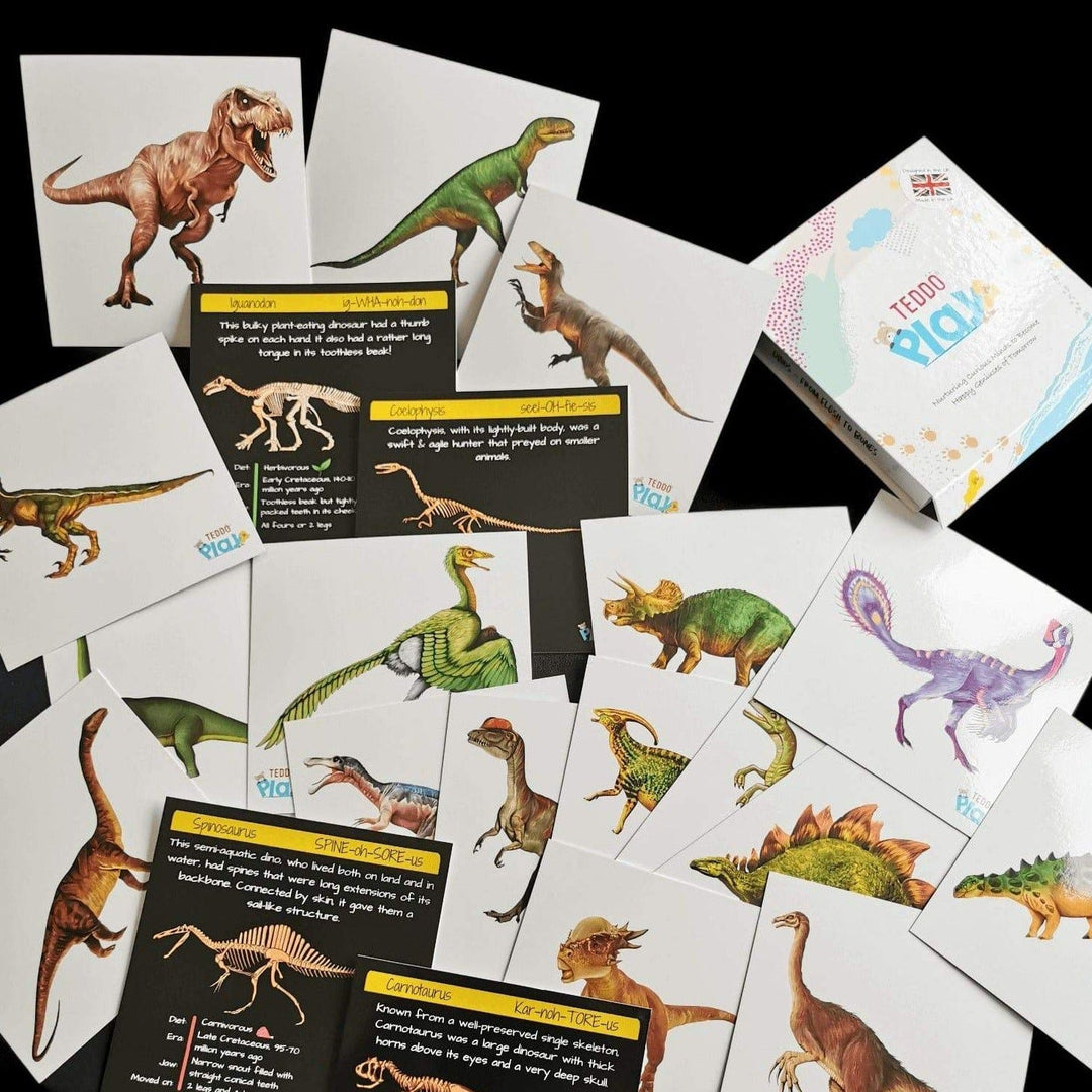 Teddo Play Educational Flash Cards Teddo Play Dinosaurs - From Flesh to Bones - Set