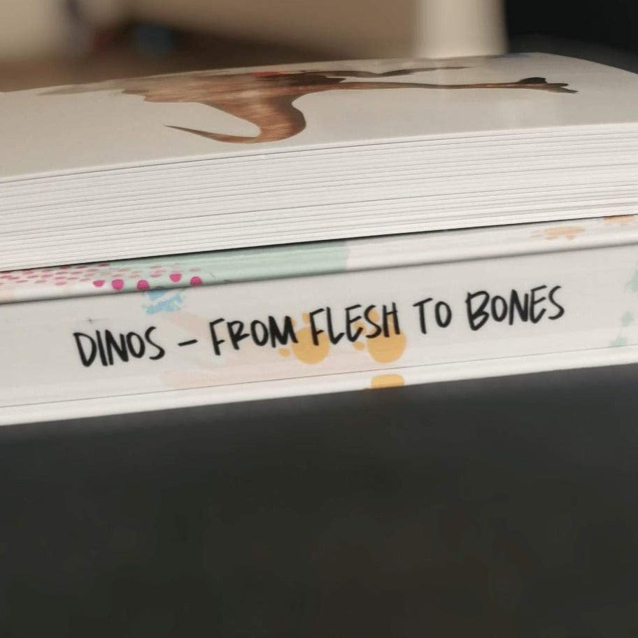 Teddo Play Educational Flash Cards Teddo Play Dinosaurs - From Flesh to Bones - Set