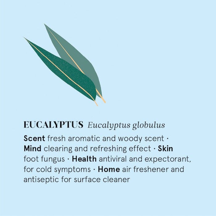 The Nature of Things Massage Oil Eucalyptus Organic Essential Oil 12ml