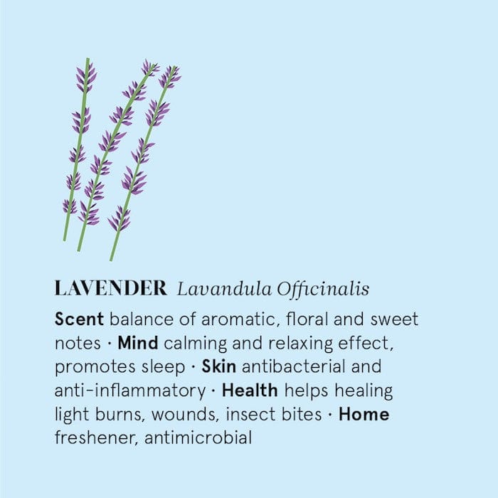 The Nature of Things Massage Oil Lavender Essential Oil 12ml