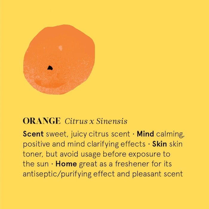 The Nature of Things Massage Oil Orange Essential Oil 12ml